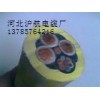 專業廠家提供加工通用橡套電纜