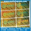 金色全息標簽、北京條形碼防偽標貼、車玻璃防偽標志、鐳射激光標
