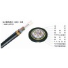 ADSS光纜廠家直銷，12芯ADSS光纜八折特價