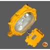 BFE8120_內場強光防爆應急燈