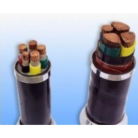 上上電纜0.6/1kV交聯聚乙烯絕緣電力電纜