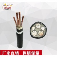 爬山虎牌YJV22 3+2芯雙絞線無氧銅花線燈頭線家用電線