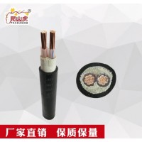 爬山虎牌YJV 2等芯雙絞線無氧銅花線燈頭線家用電線