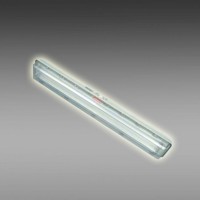 FAY6010三防全塑熒光燈 廠用熒光燈