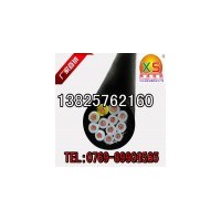 現貨供應RVV/Y19芯充實型多芯軟線 耐油耐高溫