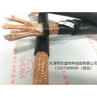 電子計算機用控制電纜DJVPVP 多芯 屏蔽 鎧裝