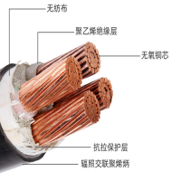 日照天行WDZ-YJ(F)Y 銅芯低煙無鹵輻照交聯電力電纜