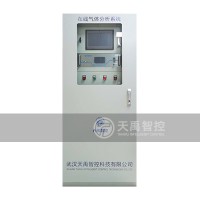 天然氣在線分析系統