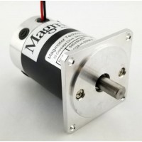 美國Magmotor電機