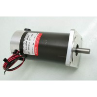 美國DYNETIC SYSTEMS電機(jī)
